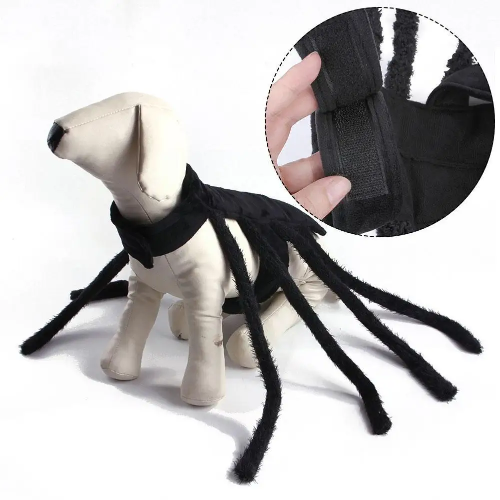 

Halloween Spider Pet Clothes For Dog Cat Spider Costumes Dressing Up Pet Clothes Pet Halloween Party Clothing Props Accesso D2S0