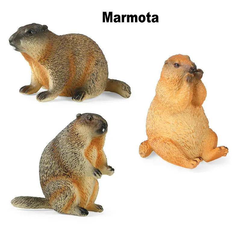 

Lifelike Marmota Action Figures PVC Wild Animal Model Cynomys Figurines Decor Educational Learn Cognitive Toys For Kids