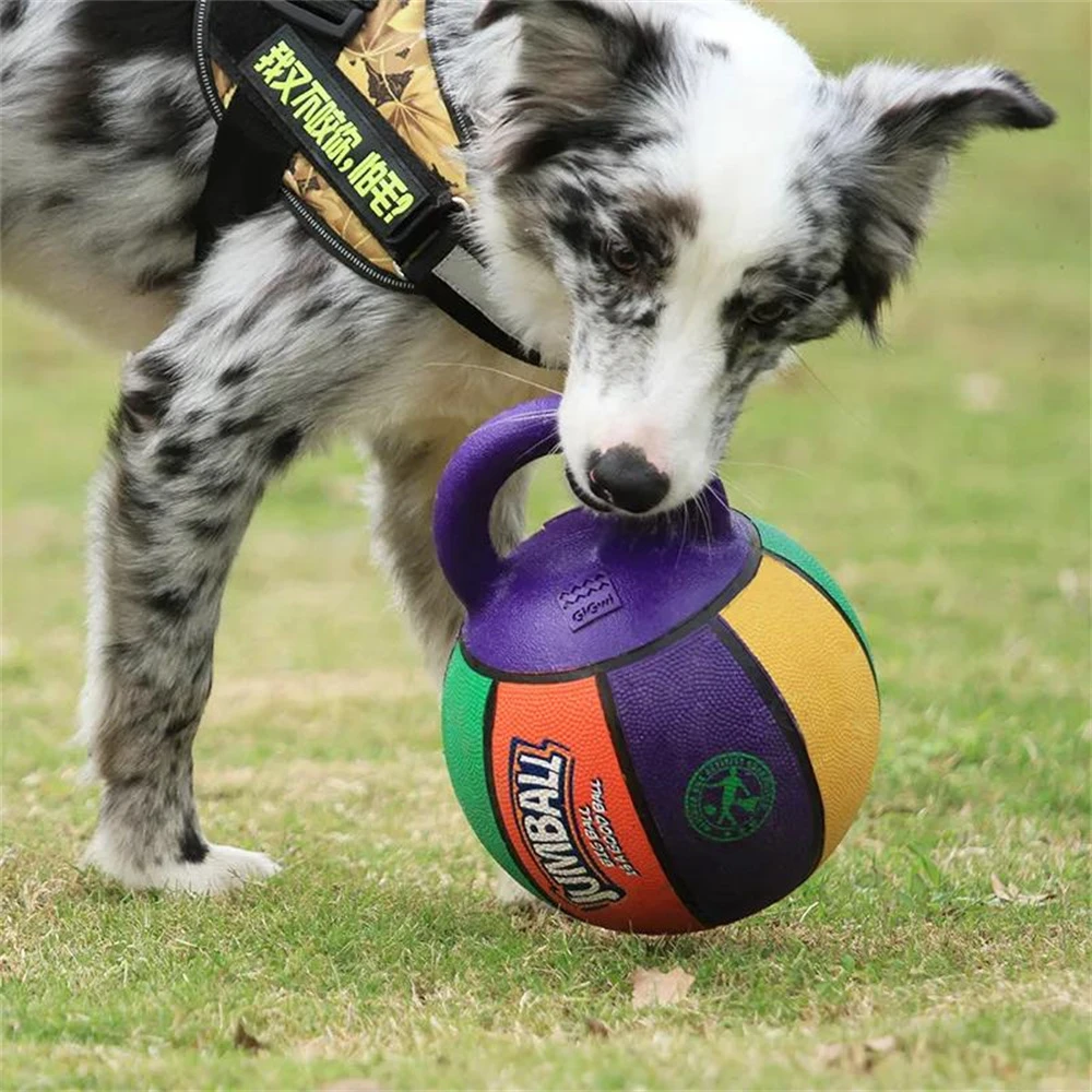 Pet Dog Toy Ball Sound Bite-Resistant Rubber Elastic Thorn B
