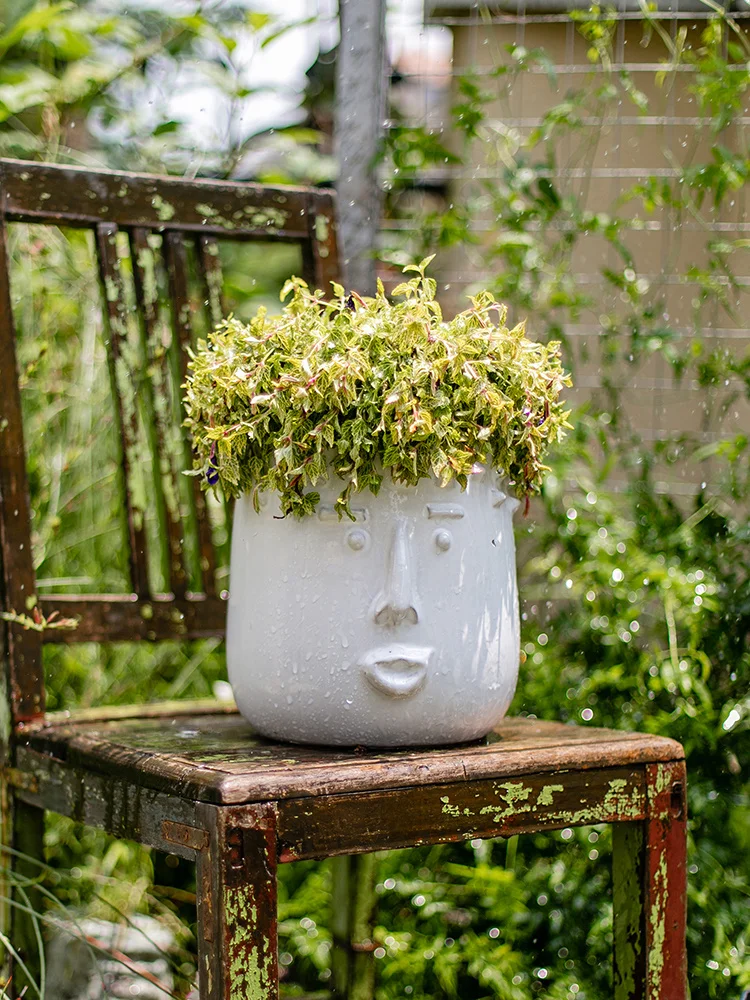 

Handmade Art Face Ceramic Flower Vase and Flower Pot Nordic Living Room Flower Arrangement Decoration Model Room Decoration