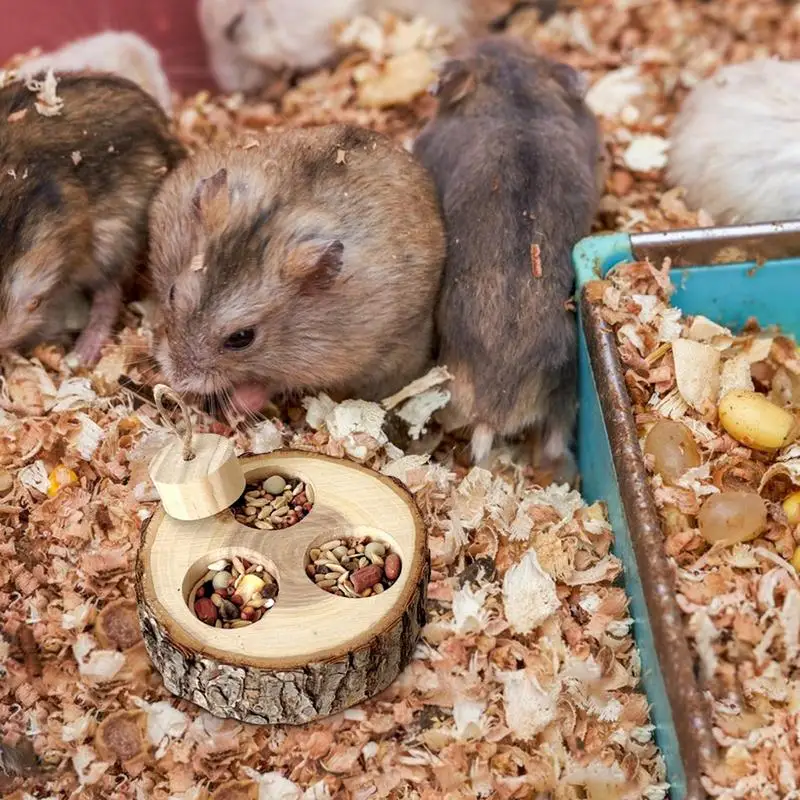 Игрушки для хомяков жевательные игрушки кролик деревянные деревянный