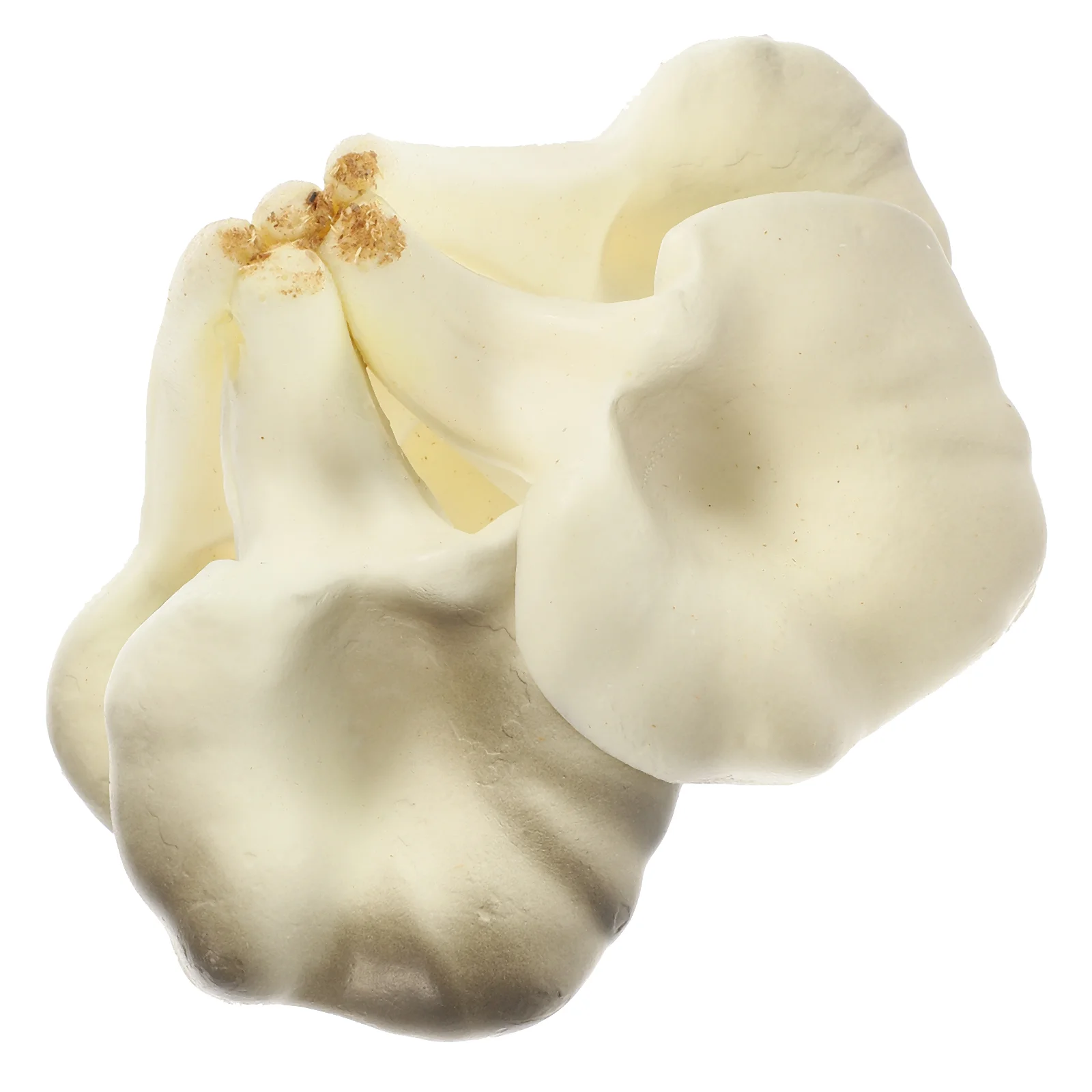 

Mushroom Model Vegetable Ornament Simulated Food Decorative Models Artificial Decoration Farmhouse