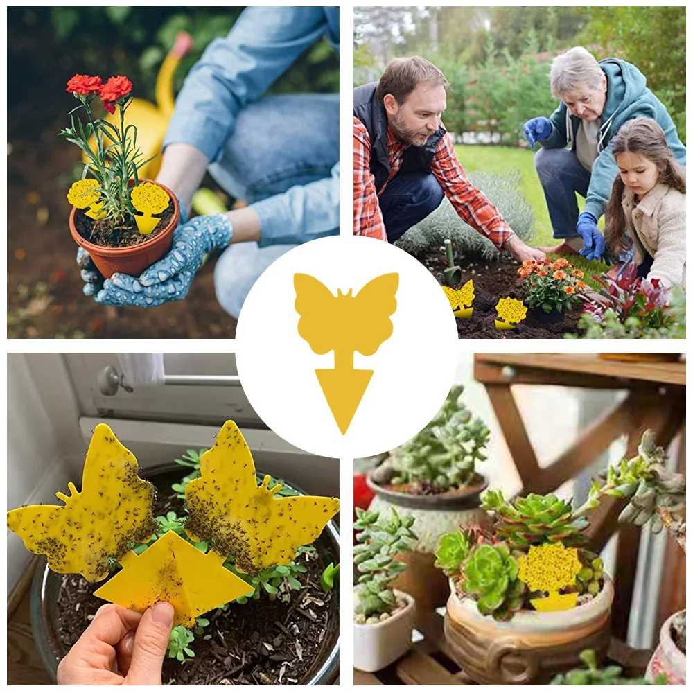 Рисунок 6 - Двусторонняя клейкая ловушка для мух