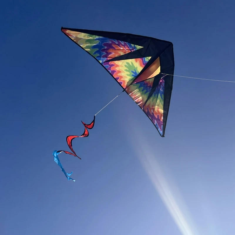 Воздушные змей delta для детей нейлоновая ткань Рипстоп летающий дракон активного
