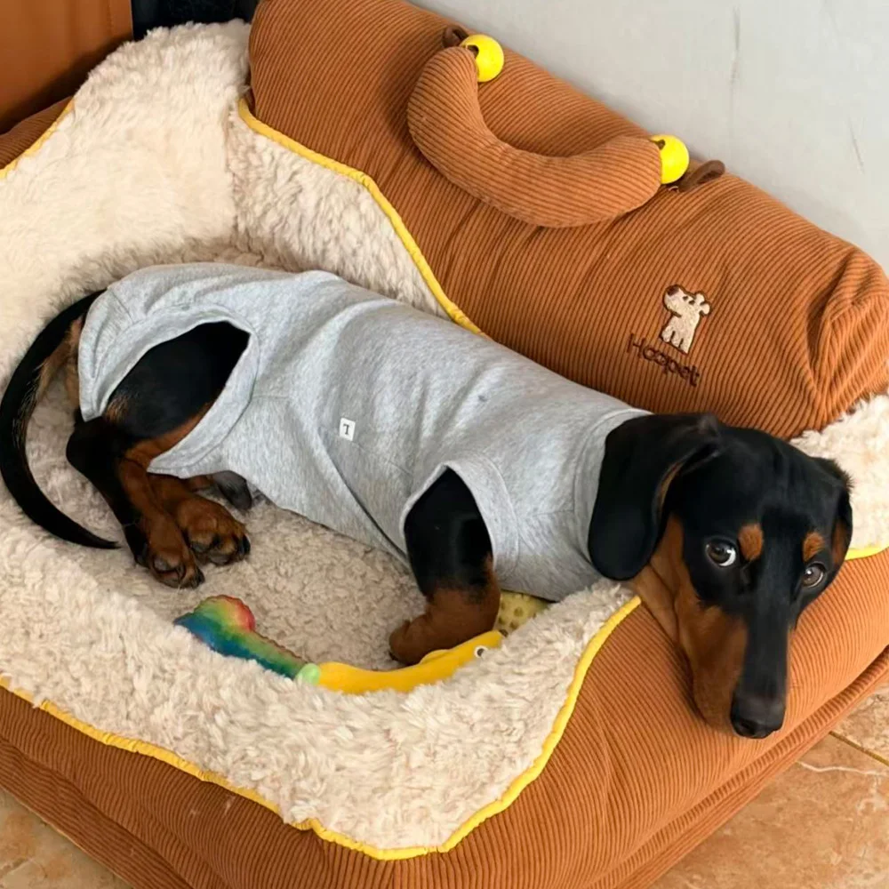Фото Одежда для собак пород Wiener Dog: Весенне-летняя пижама из 100% хлопка на 4 лапах для миниатюрных такс, послеоперационный костюм для такс. №3