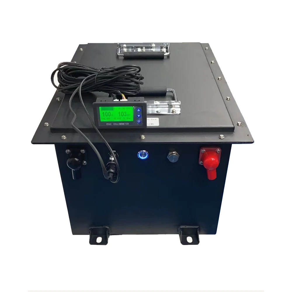 

48V 80Ah 100Ah Golf Car Lithium Lifepo4 Battery Pack With BMS For Sale