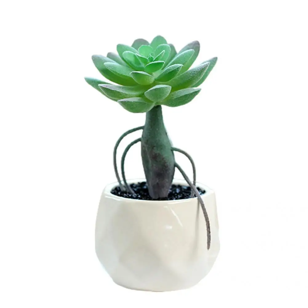 

PVC Cute Small Assorted Succulent Artificial Decor Wide Usage Fake Plant Fresh-looking for Office