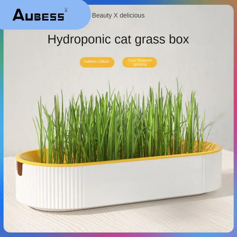 

Вы можете добавить зеленый в домашних условиях кошачьей мяты для облегчения обмена водой и подрезки домашних животных, питомцы помогают вы...