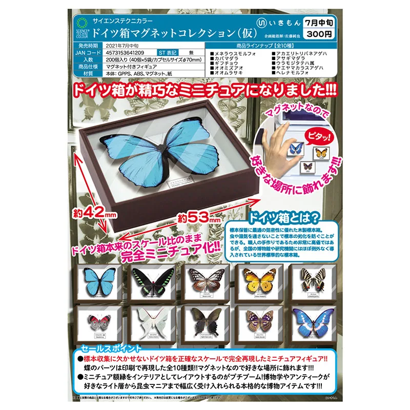 

JAPAN IKIMON Butterfly Specimens Arthropod Model Insect Ornament Capsule Toy Genuine Gashapon Dolls Kid Gift