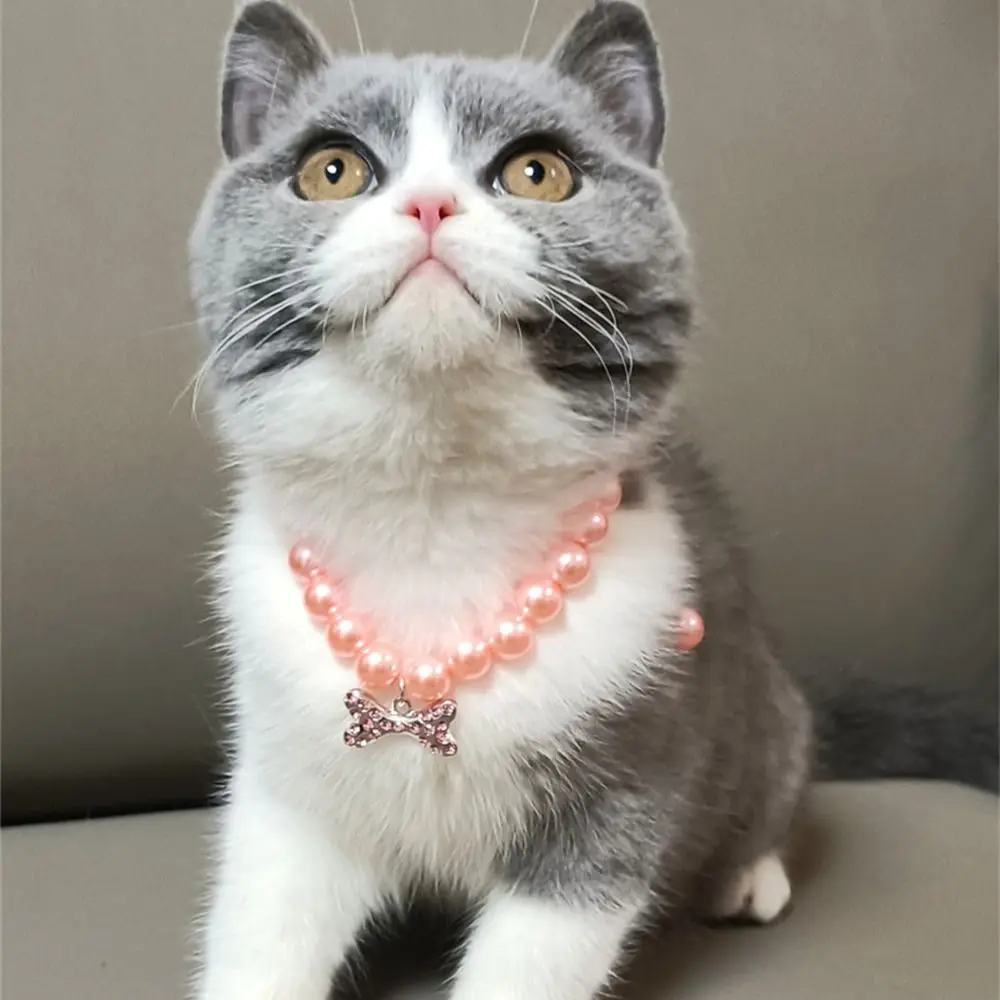 

Pet Accessories Sweet Imitation Pearl Cute Cat Collar Neck Chain Dog Collar Dog Necklace