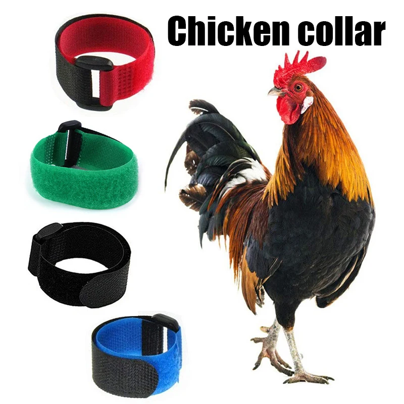 

2PCS Solid Color Chicken Collars Soft Comfortable Rooster Bow Tie Skin Friendly Chicken Neck Strap Adjustable Pet Supplies