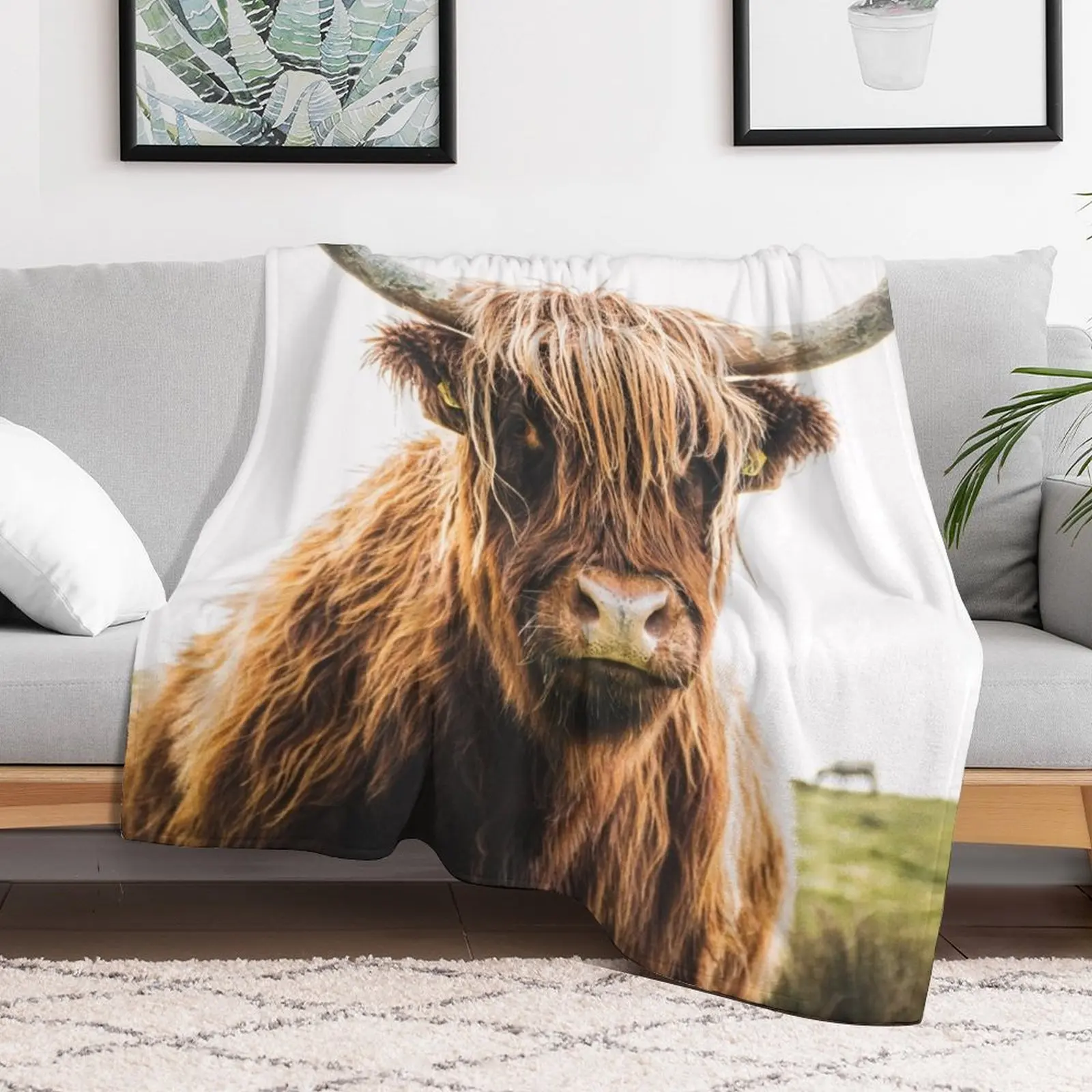 Волосатая коричневая корова в лугу. Плед тяжелое для сна. Самые мягкие одеяла.