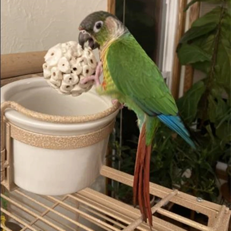 

3 Count Hamster Chew Toy Sola Foraging Balls 2.36in Diameter Sola Plant Ball Soft Shreddable Bird Toys for Conure Peony