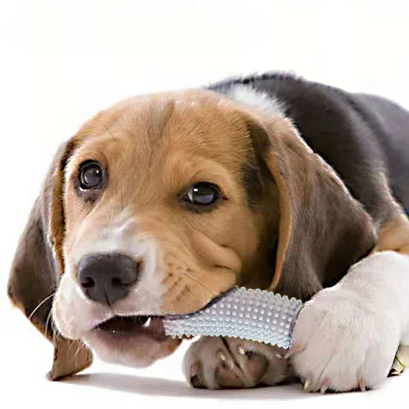 

Puppy Brush Dog Toothbrush Chew Toy Stick Cleaning Pet Teeth Cleaning Toys Multifunctional Silicone Doggy Dental Care Puppy Toys