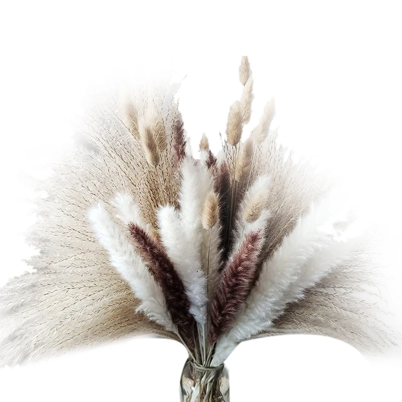 

Pampas Grass 80 Pcs 17 Inch Natural Dried Pampas Grass - Fluffy Stem Bouquet For Home Decor Wedding Boho Decor
