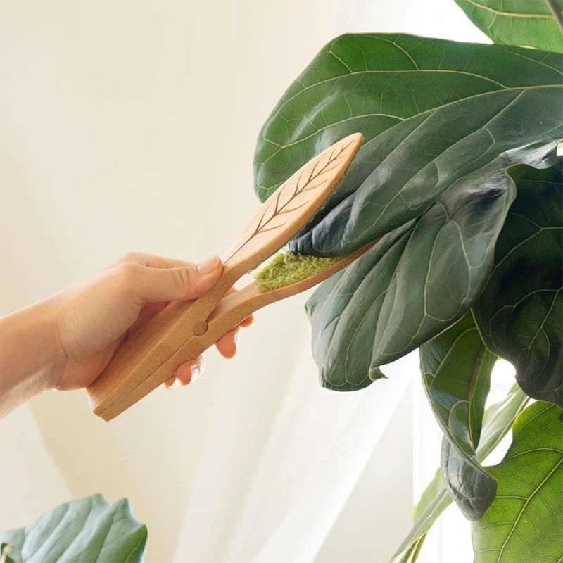 Clean leaf. Clean leaf