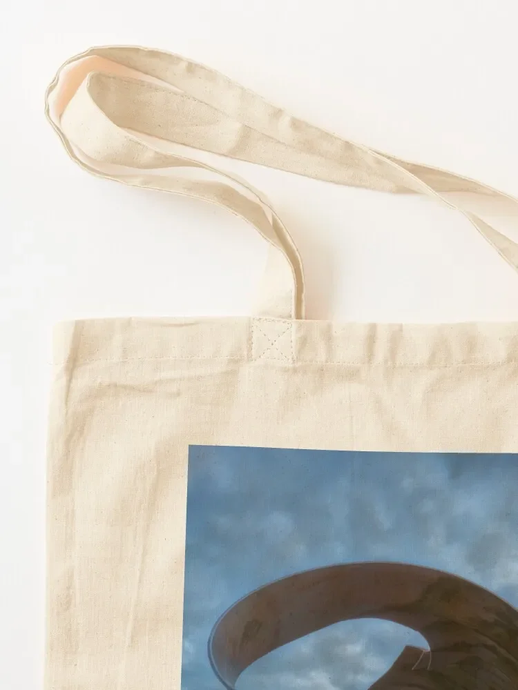 Мэри Шелл скульптура Стивен Бродбента. Большая сумка тележка для покупок сумки