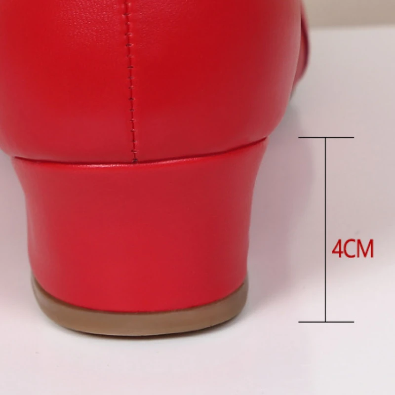 New Latin Dance Shoes Low Heels Soft Bottom Dancing Shoes Ladies Children Modern Shoes Ballroom Tango/Salsa Shoes