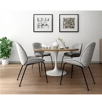 nordic metal beatles restaurant chair casual simple dining chair creative fashion cafe dining chair