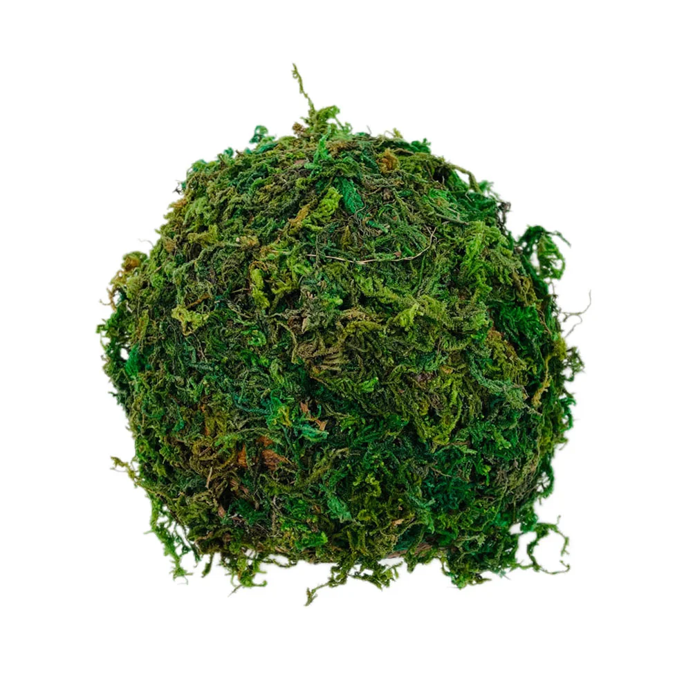 

Turtle Breeding Shelter Turtle Basking Platform Mossy Hideout Reptile Hide Habitat Lizard Tank Accessories