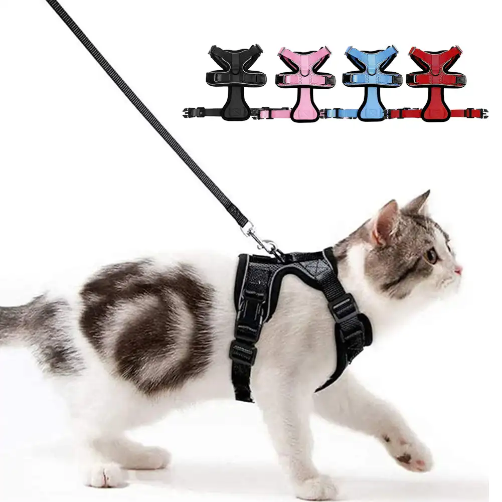 

Воздухопроницаемая шлейка и поводок для кошек, жилет, сетчатый нагрудный пояс, ошейник для кошек, собак, кроликов, мелких животных