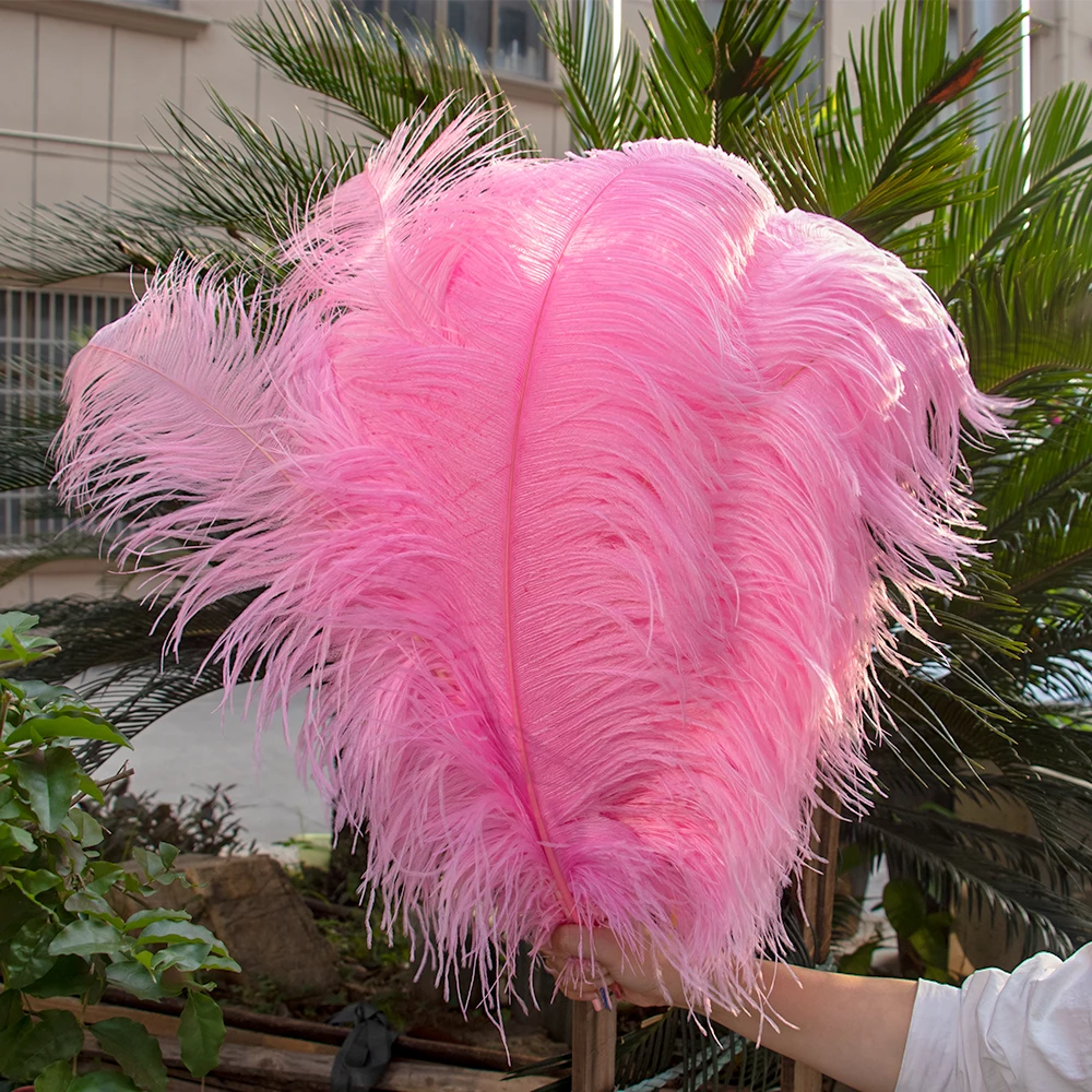 

10Pcs Colored Real Ostrich Feathers for Crafts Natural Feather Home Table Centerpieces Jewelry Handicrafts Accessory Hot Sale