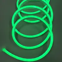 50m RGB Neon light 10x20mm 12v 24v 110V 220v 5050 LED Flexible Strip  Soft Neon Rope Waterproof For Sign Outdoor Building Light