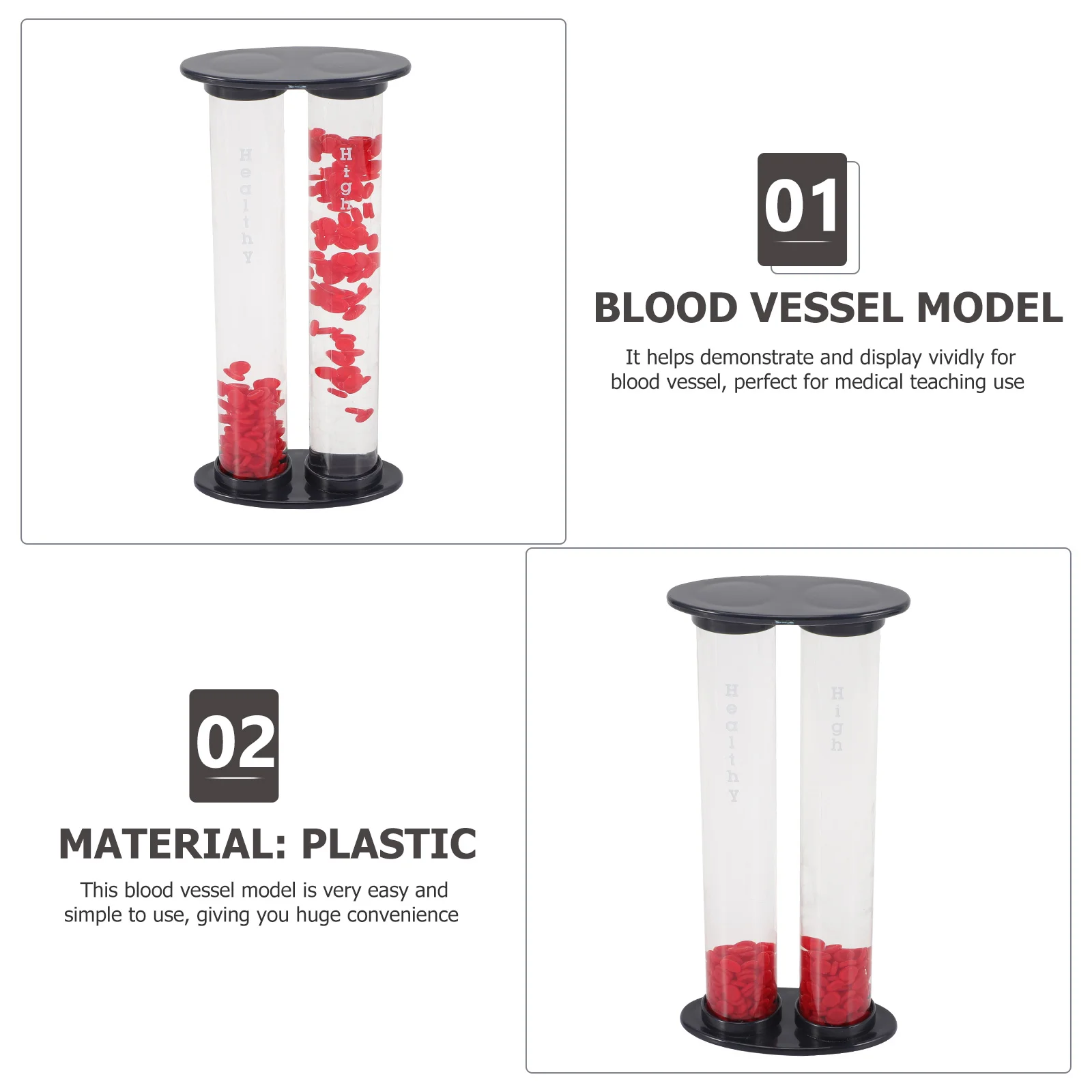 Модель сосудистой глюкозы кровеносное сосуд для демонстрации обучения с помощью