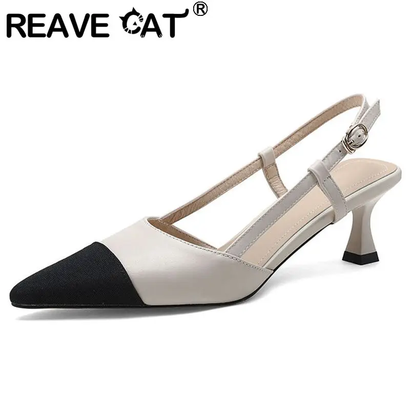 

Женские босоножки из натуральной кожи REAVE CAT, элегантные летние сандалии с острым носком и ремешком на застежке сзади, размеры 34-39, разноцвет...