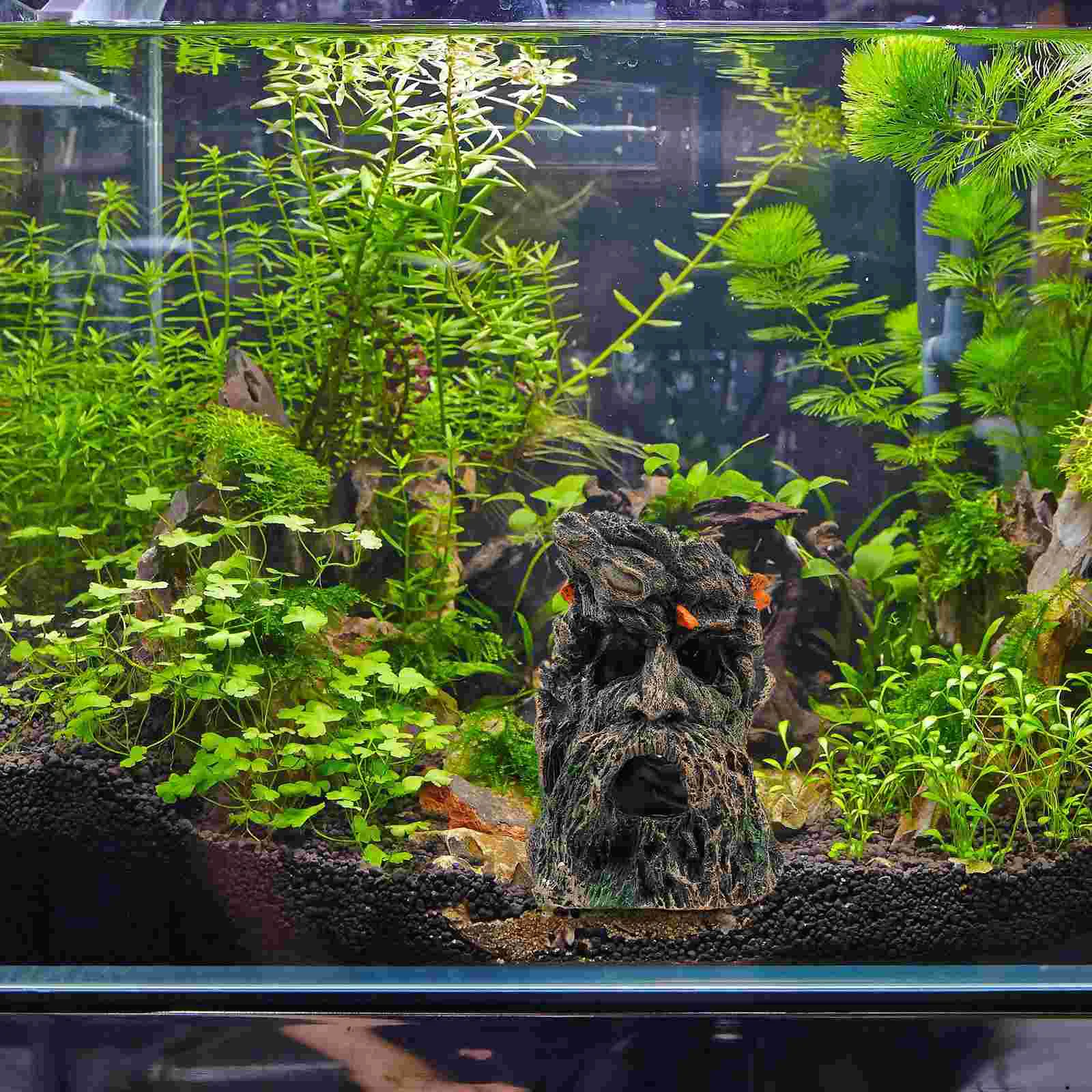 Террариум для рептилий обитания ствол старый человек Дракон бороды клетка