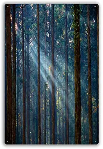 

Funny Retro Cafe Store Metal Tin Signs Wall Decor Misty Forest with Sunlight
