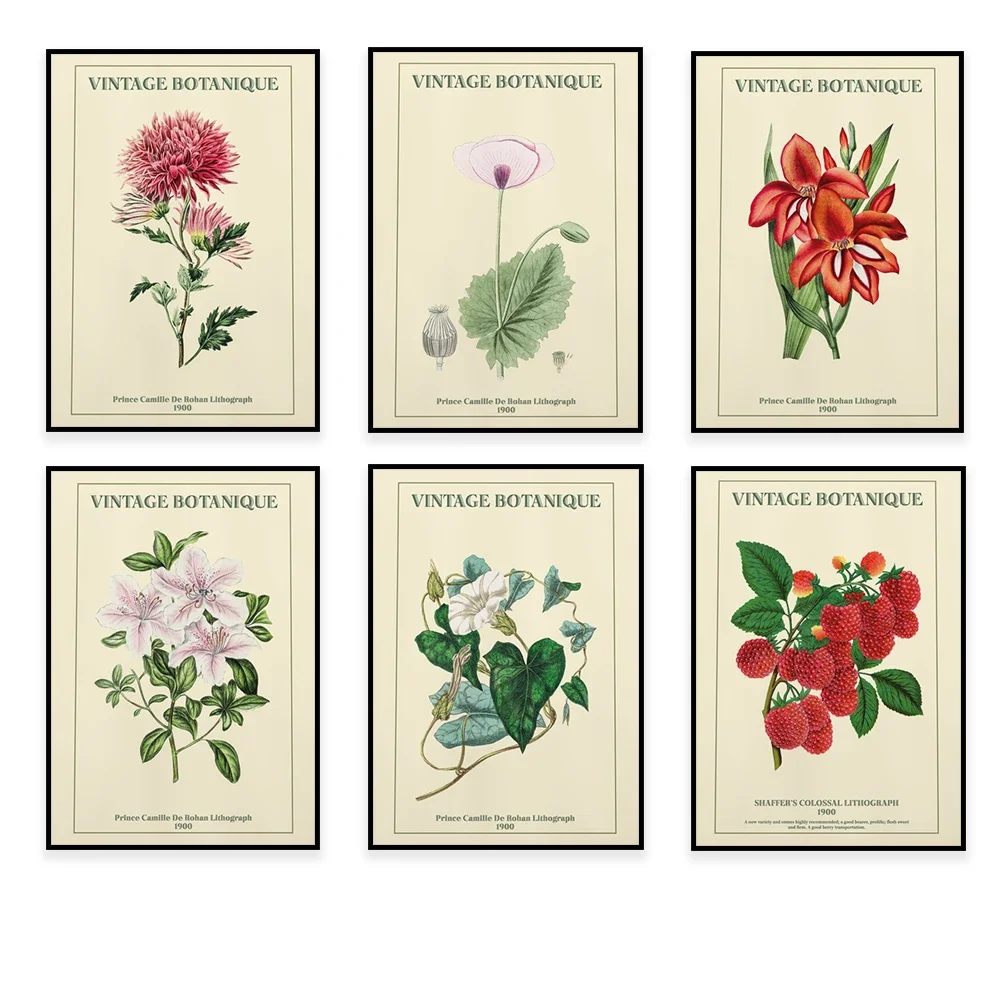 Принты цветочных рынков цветы Матисса постеры Гудмании орхидеи малины