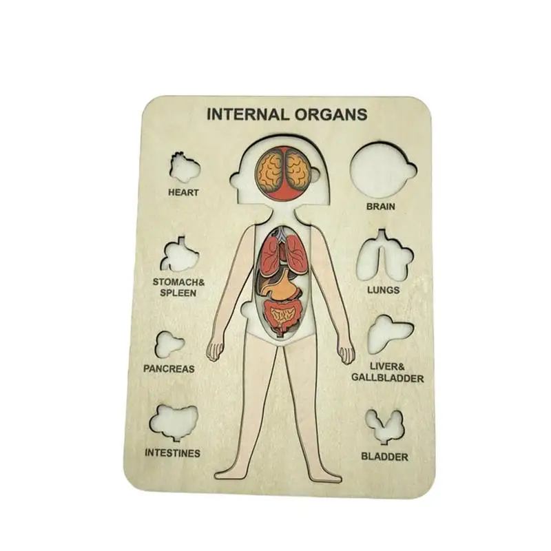 

Wooden Human Body Puzzle Anatomy Puzzle Toys For Boys Girls Educational Wooden Puzzle Set Toys Montessori Toys Gift Choice For