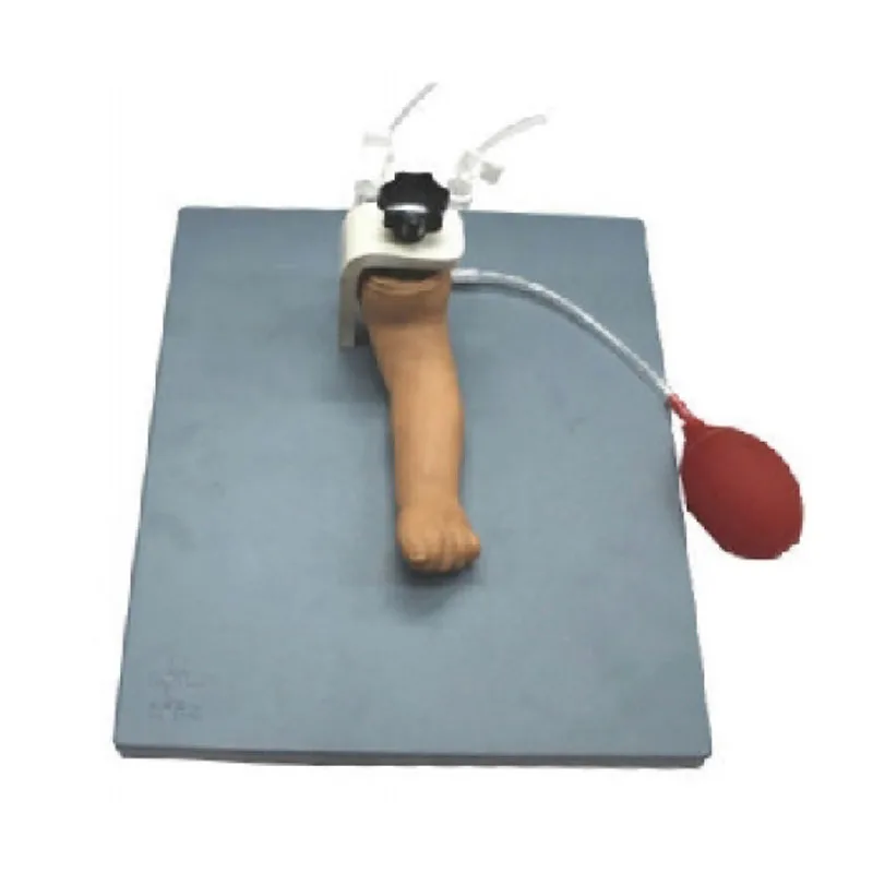 

Оборудование для изучения медицины, современная модель для инъекций артерий для младенцев