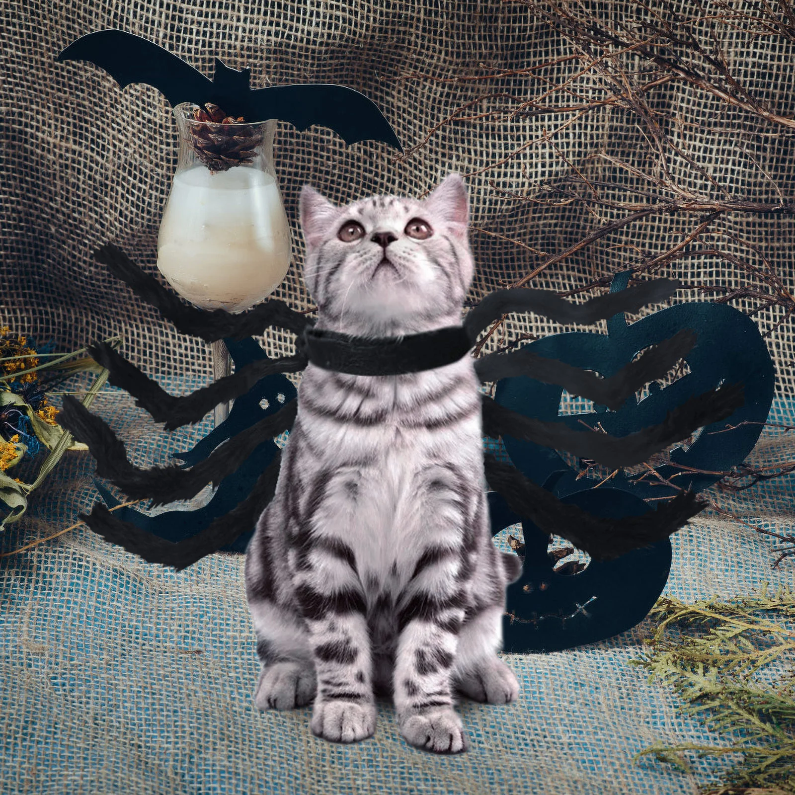

Halloween Small Pet Spider Costume Accessories Supplies Clothes Turn Cat Cotton Costumes