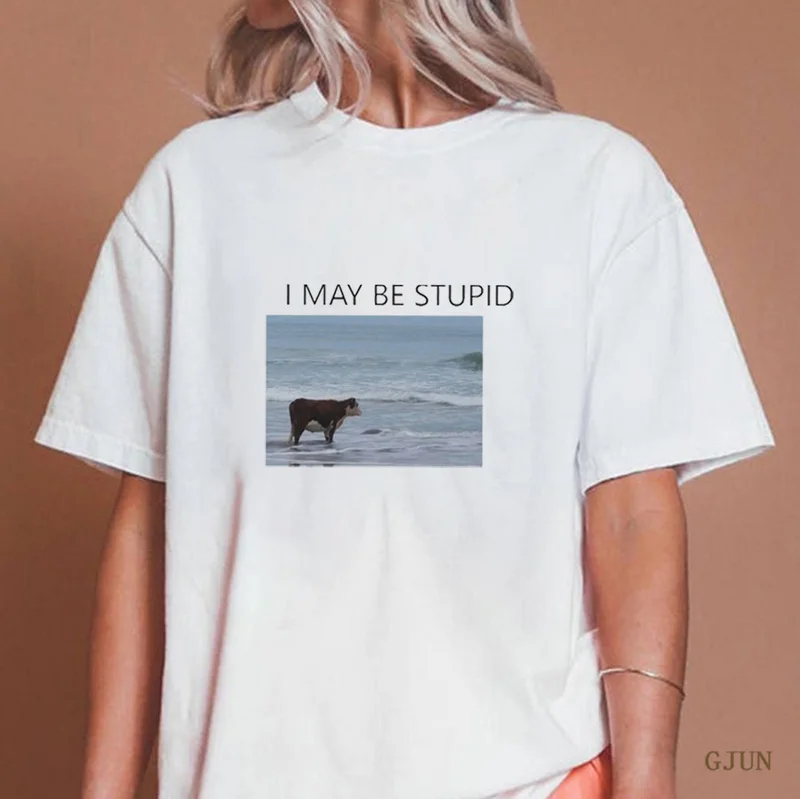 

I May Be Stupid Meme Shirt for Women T-shirt Vintage Casual Woman Clothing Harajuku T Shirt Summer Streetwear Funny Graphic Tees