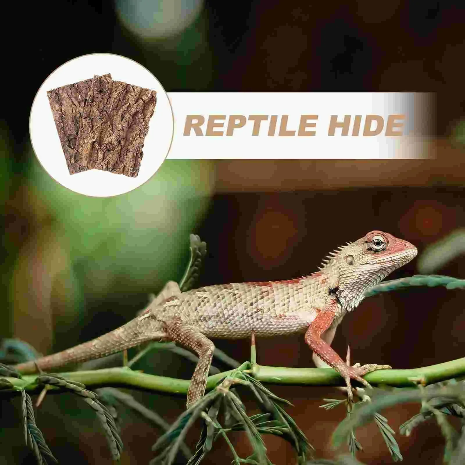 1 шт. декор для террариума дерево короя ящерица скалолазание рептилии танк Декор