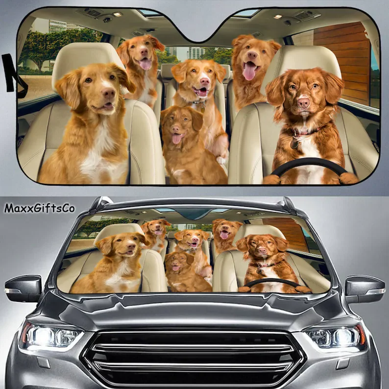 

Nova Scotia Duck Tolling Retriever Car Sun Shade, Dogs Windshield, Dogs Family Sunshade, Car Accessories, Car Decoration, Dogs L