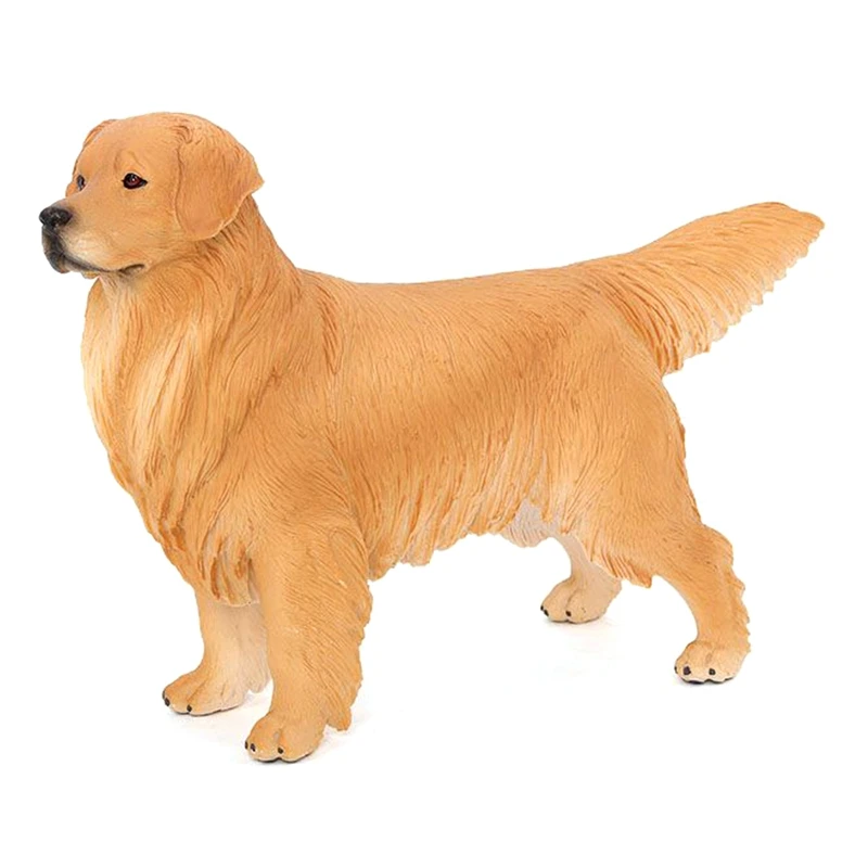 

Simulation Animal Dog Model Big Golden Retriever Pet Dog Science Education Models Childrens Gift Toys