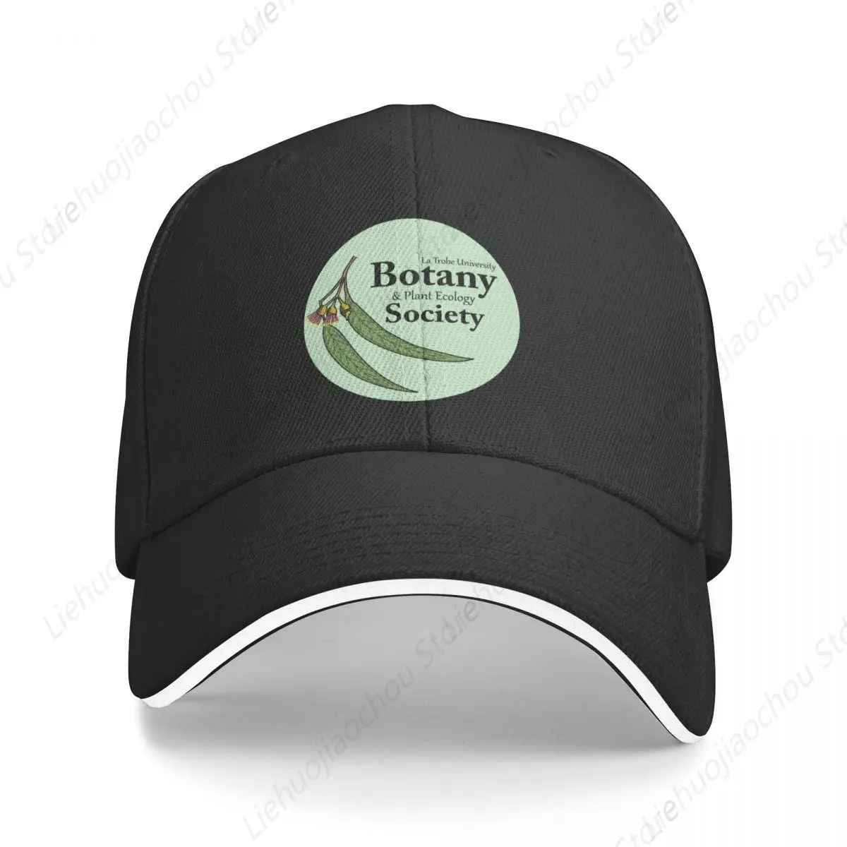 Бренд Botany бейсболка с логотипом общества пляжная кепка для прогулок мужчин и
