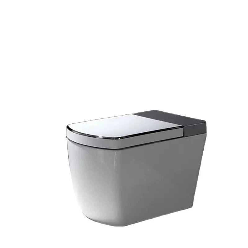 VOGO SL600 SL610 SL620 R500 умное цельное унитаз интеллектуальное биде с теплым чехлом на