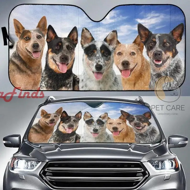 

Australian Cattle Dog Car Auto Sun Shade Amazing Best Gift Ideas 2022