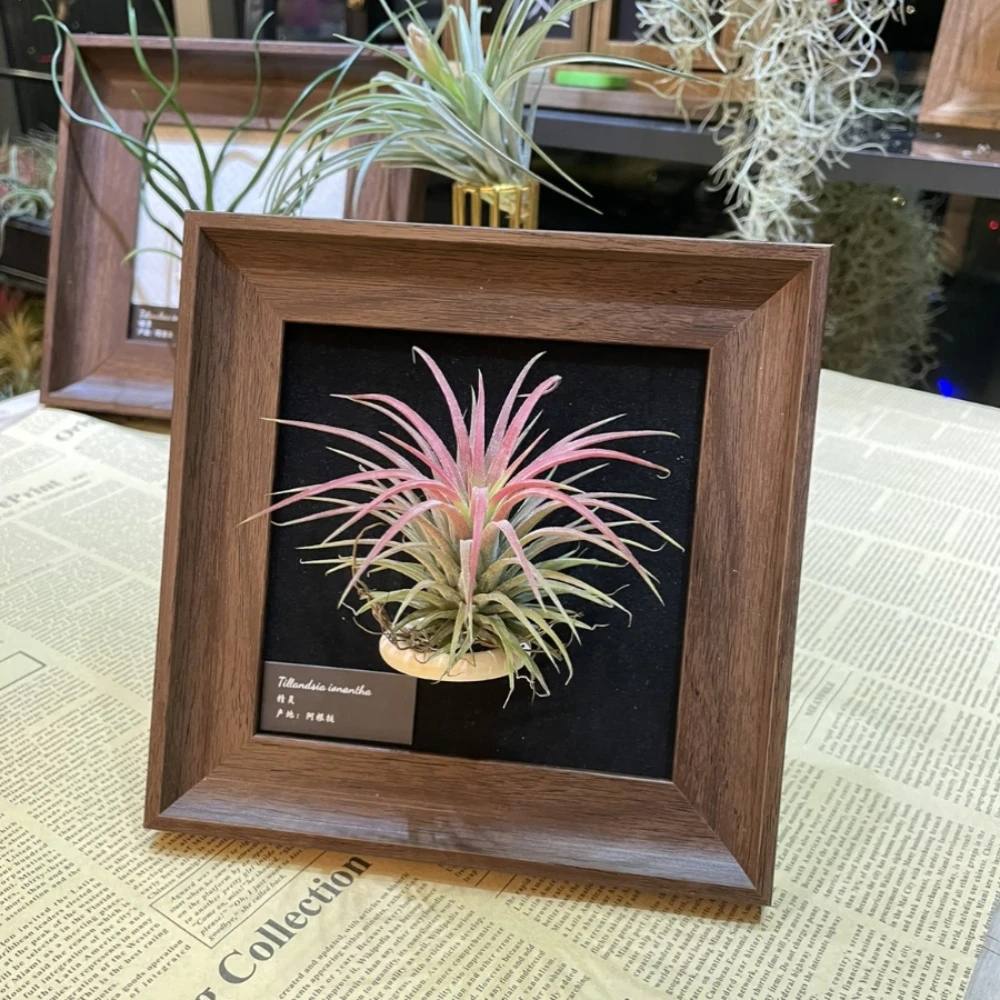 Декоративная фоторамка в виде ананаса для офиса Настольная фотографий дома кафе