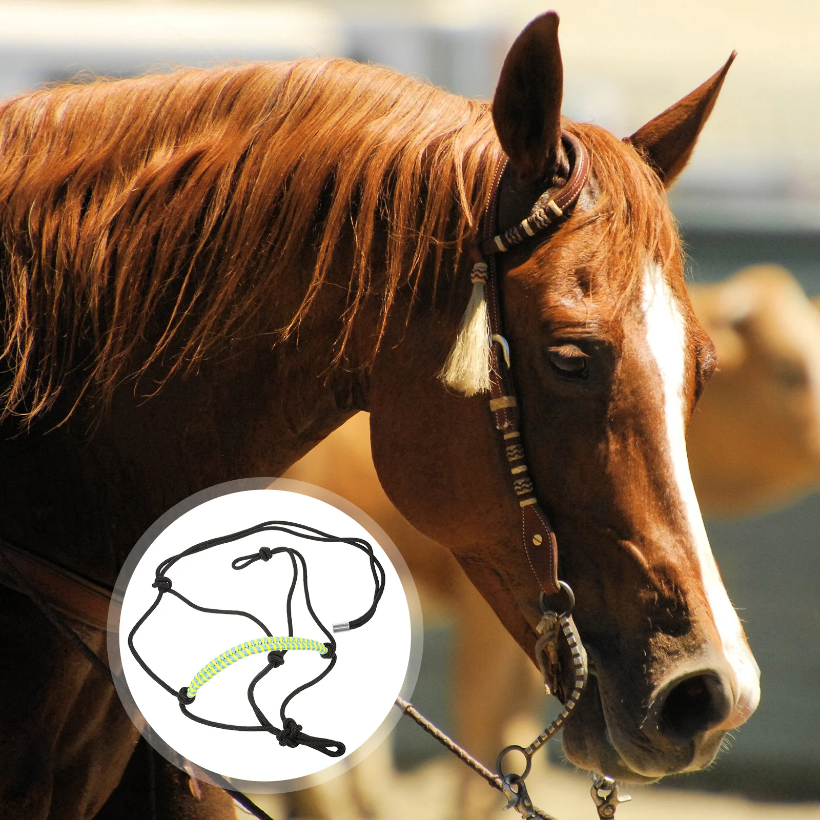 Утки для лошади жгута воротник верховой езды подъемный ремень уздечки лошадей