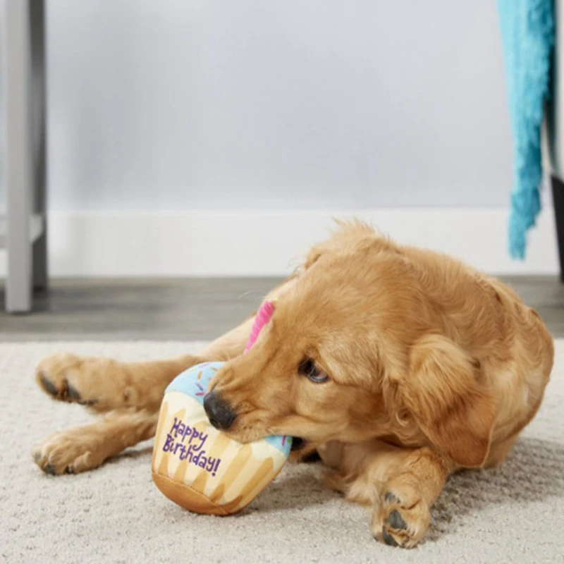 

Игрушка для домашних животных, милая игрушка в виде торта на день рождения, пищащие игрушки, мягкая игрушка в форме кошек, аксессуары для инт...
