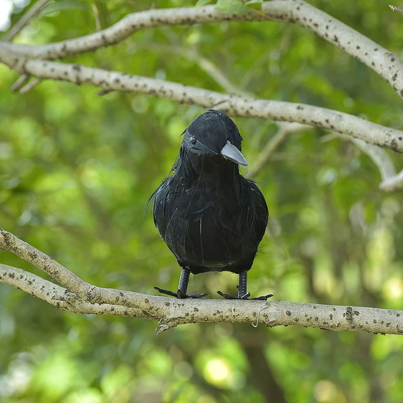 

1pc Artificial Crow Black Bird Halloween Decorations Simulation Black Crow Animal Model Raven Prop Horror Scary Party Supplies