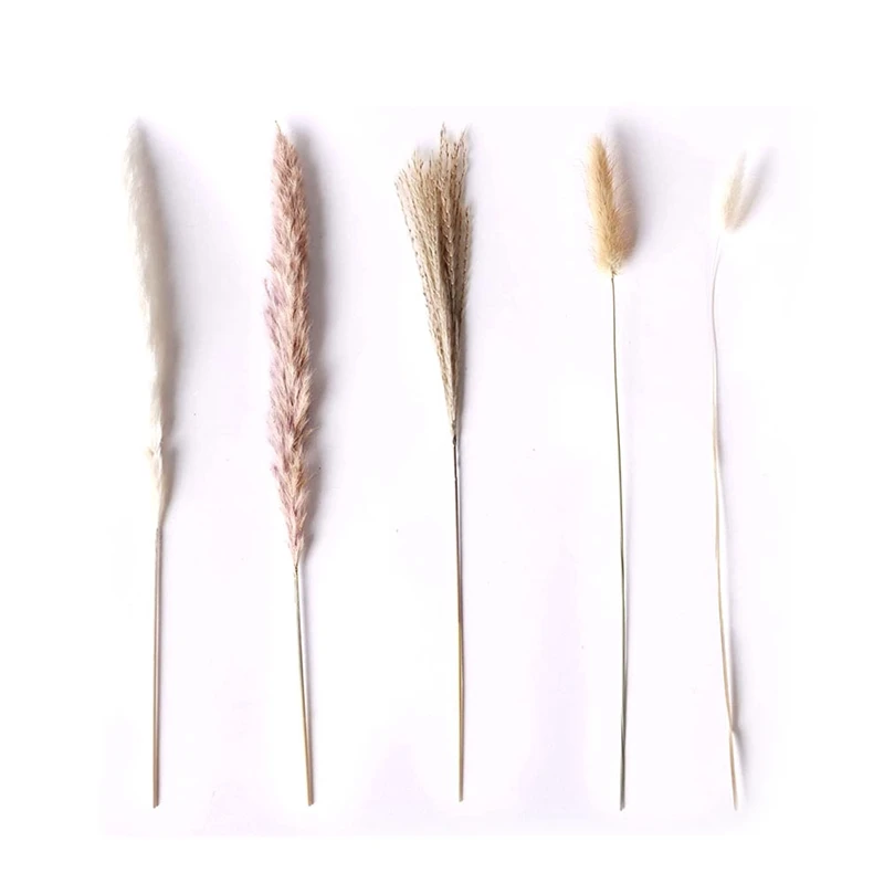 

Natural Dried Pampas Grass - 85Pcs Boho Home Decor Dried Flowers for Vase - Pampas for Arrangements, Wedding Bouquet