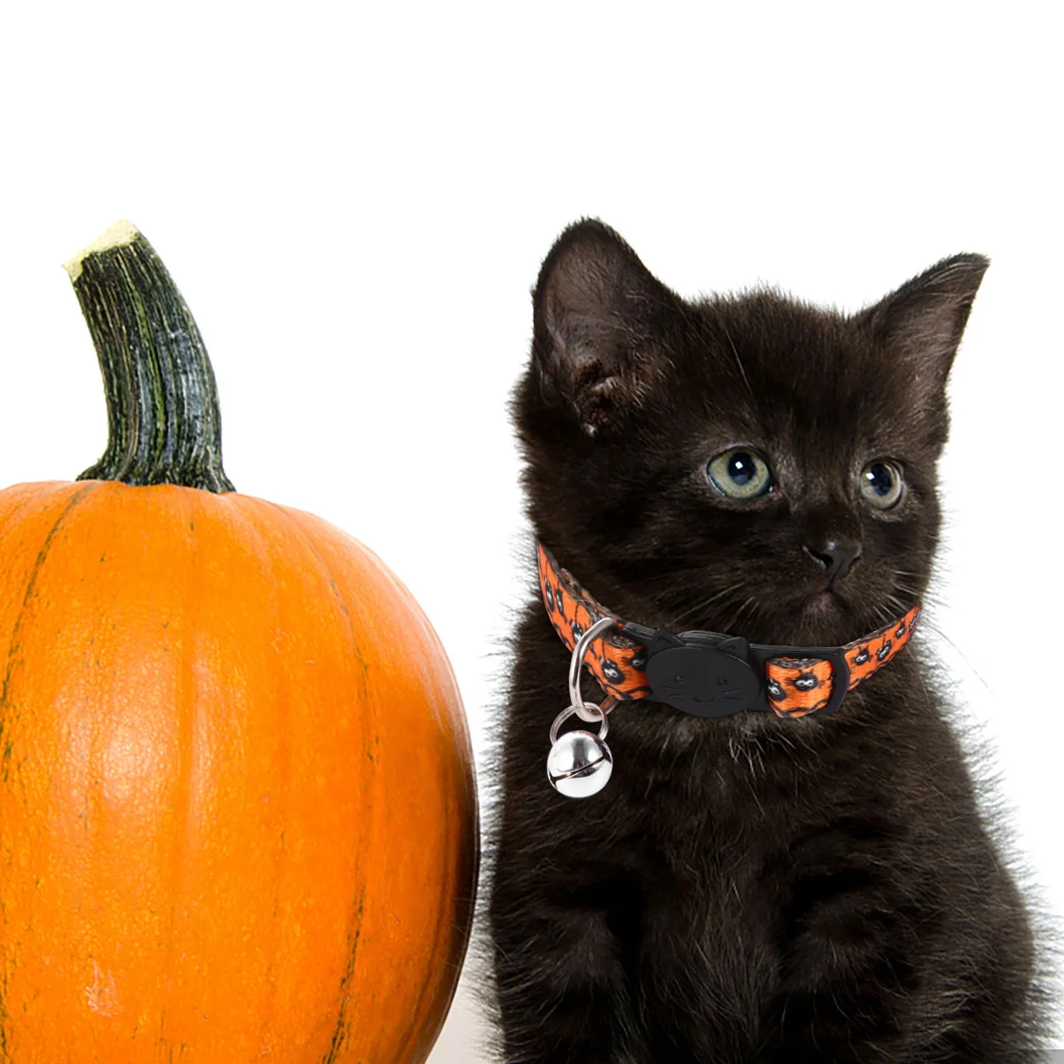 

Collardog Pet Cat Collarsbell Pumpkinbreakaway Dogs Party Pattern Accessories Decorations Bells Bat Puppy Witchezydog Kitten