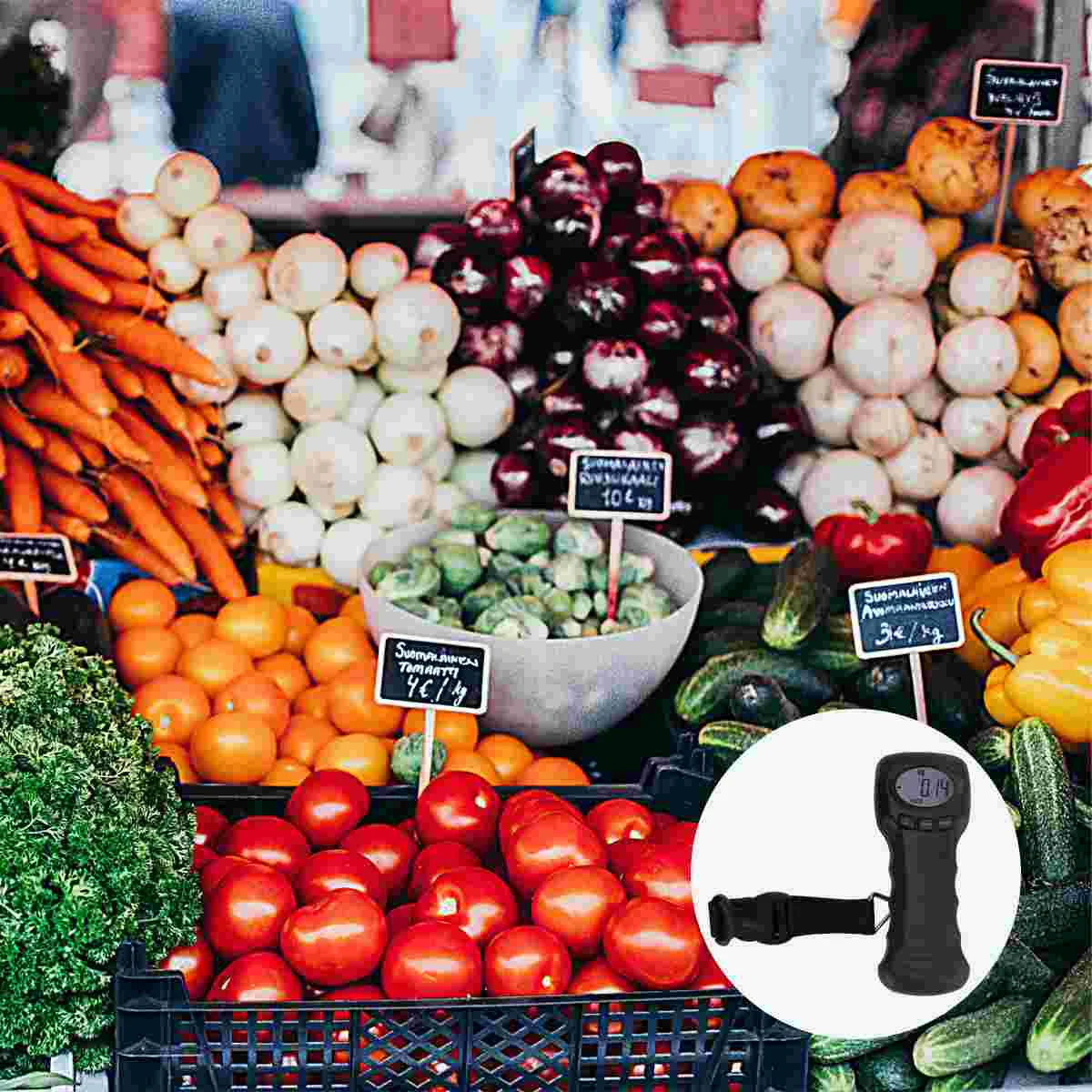 

Scale Luggage Portable Weight Digital Hanging Electronic Hook Lip Lcd Gripper Weighing Handheld Travel Backlit Scales Display