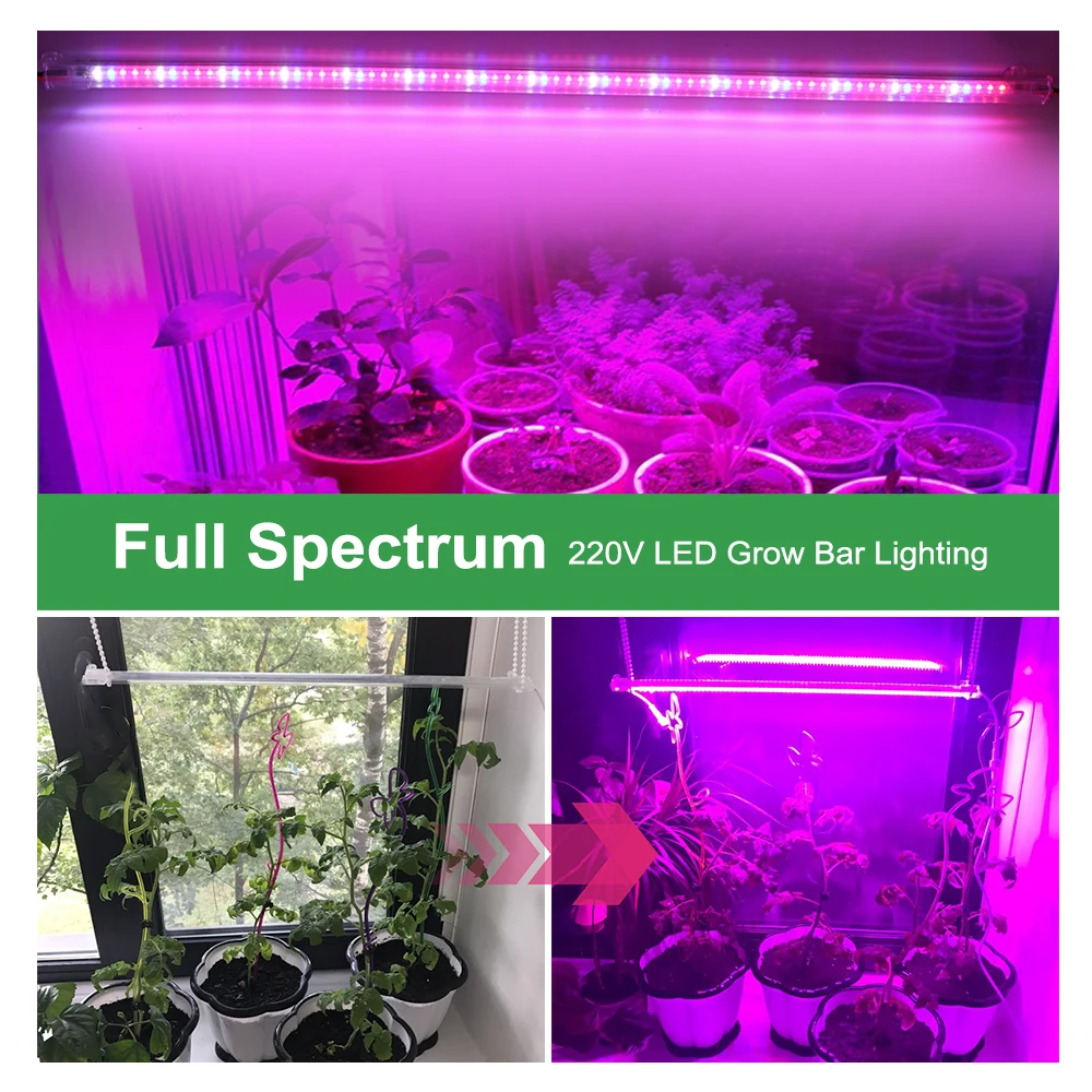 LED Grow Light 220V 75 LEDs 50cm LED Grow Tube 2-12pcs with EU Plug Sunlike Full Spectrum For indoor Flower Rack Plants Growing. images - 6